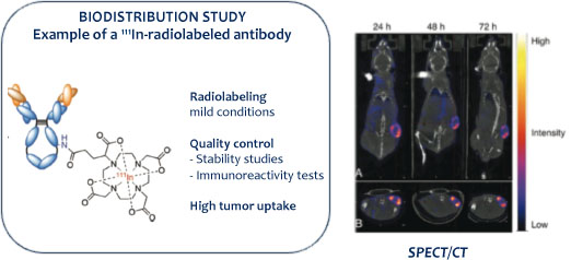 dotaga-traztuzumab